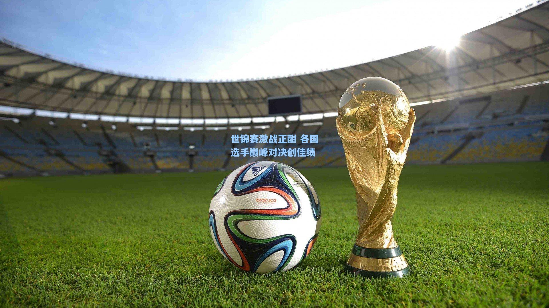 世锦赛激战正酣 各国选手巅峰对决创佳绩