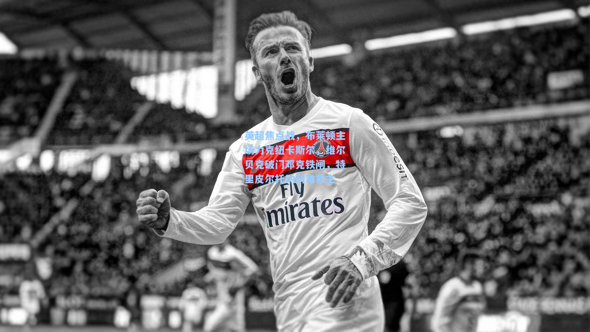 英超焦点战，布莱顿主场力克纽卡斯尔，维尔贝克破门邓克铁闸，特里皮尔托纳利难救主